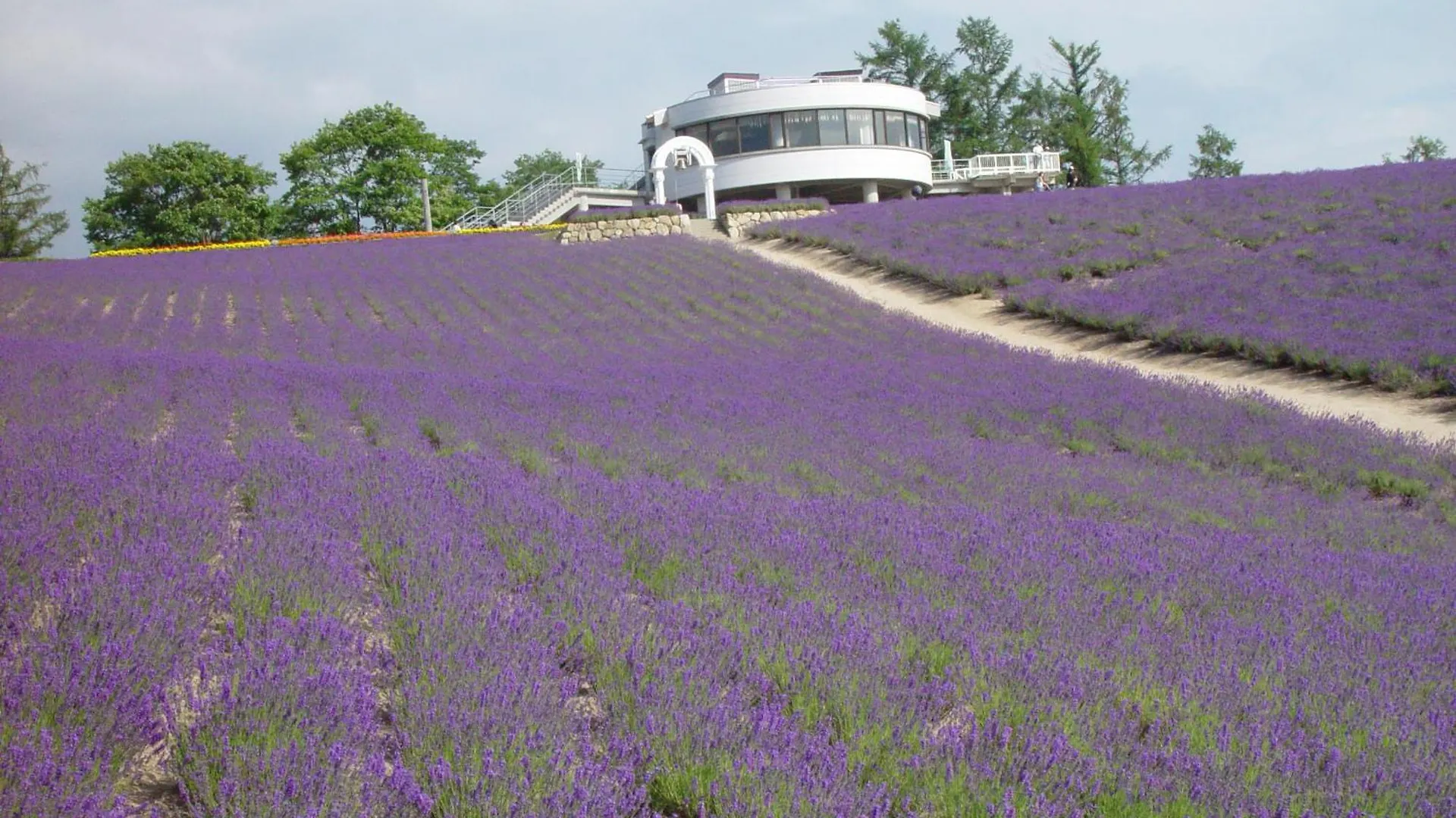 Countryside Furano Villa Nakafurano 0*,  Japan